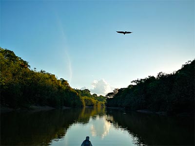 Amazonas Tres Fronteras