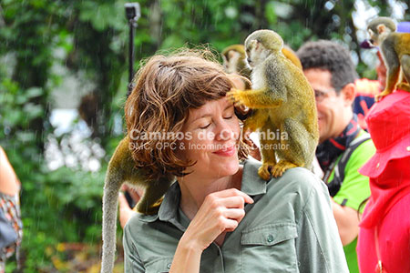 Island of the Monkeys Amazon, Amazon Three Borders 8 Days